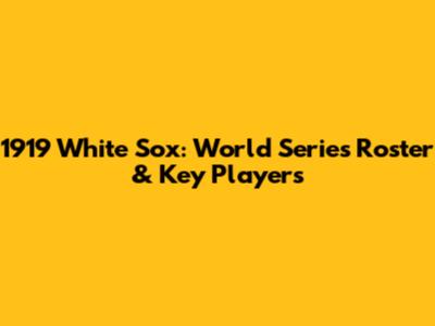 1919 White Sox: World Series Roster & Key Players