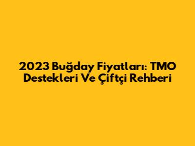 2023 Buğday Fiyatları: TMO Destekleri Ve Çiftçi Rehberi