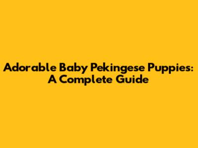 Adorable Baby Pekingese Puppies: A Complete Guide