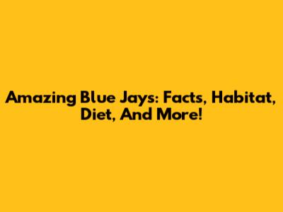 Amazing Blue Jays: Facts, Habitat, Diet, And More!