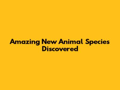 Amazing New Animal Species Discovered