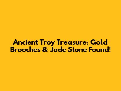 Ancient Troy Treasure: Gold Brooches & Jade Stone Found!