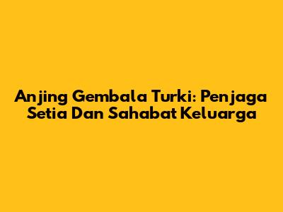 Anjing Gembala Turki: Penjaga Setia Dan Sahabat Keluarga