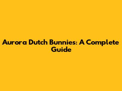 Aurora Dutch Bunnies: A Complete Guide