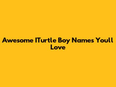 Awesome ITurtle Boy Names You'll Love