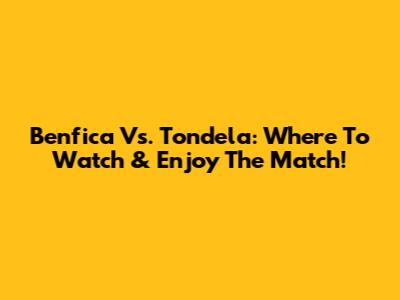 Benfica Vs. Tondela: Where To Watch & Enjoy The Match!