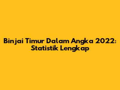 Binjai Timur Dalam Angka 2022: Statistik Lengkap