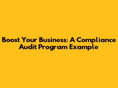 Boost Your Business: A Compliance Audit Program Example