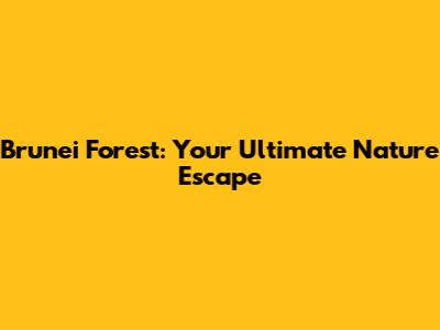 Brunei Forest: Your Ultimate Nature Escape