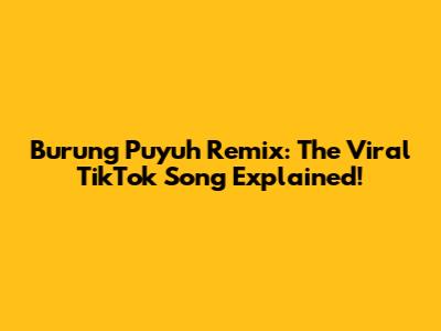 Burung Puyuh Remix: The Viral TikTok Song Explained!
