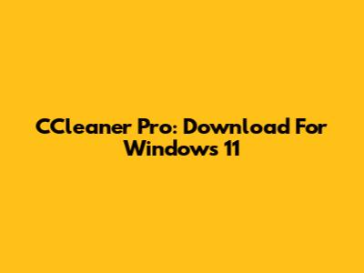 CCleaner Pro: Download For Windows 11
