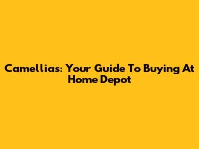 Camellias: Your Guide To Buying At Home Depot