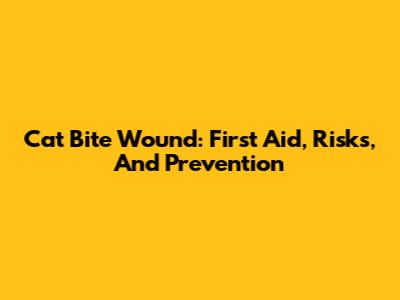 Cat Bite Wound: First Aid, Risks, And Prevention