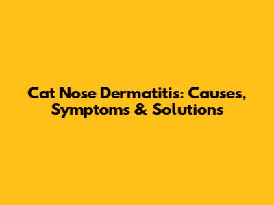 Cat Nose Dermatitis: Causes, Symptoms & Solutions