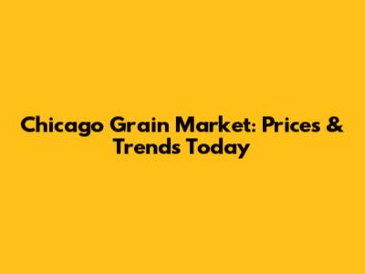Chicago Grain Market: Prices & Trends Today