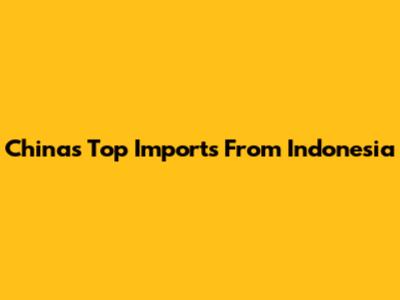 China's Top Imports From Indonesia