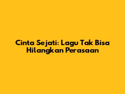 Cinta Sejati: Lagu Tak Bisa Hilangkan Perasaan