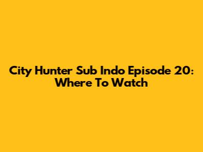 City Hunter Sub Indo Episode 20: Where To Watch