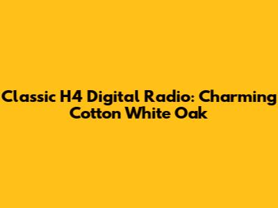 Classic H4 Digital Radio: Charming Cotton White Oak