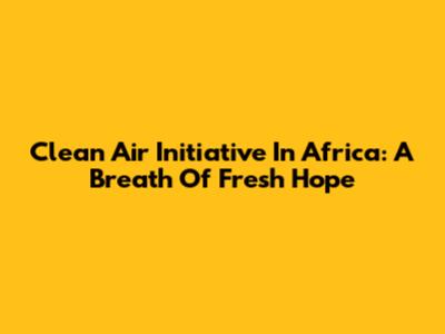 Clean Air Initiative In Africa: A Breath Of Fresh Hope