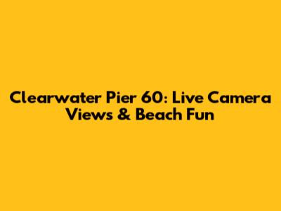Clearwater Pier 60: Live Camera Views & Beach Fun