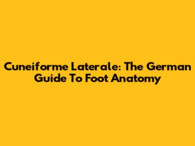 Cuneiforme Laterale: The German Guide To Foot Anatomy