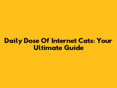 Daily Dose Of Internet Cats: Your Ultimate Guide