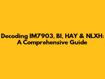 Decoding IM7903, BI, HAY & NLXH: A Comprehensive Guide