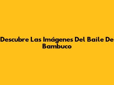 Descubre Las Imágenes Del Baile De Bambuco