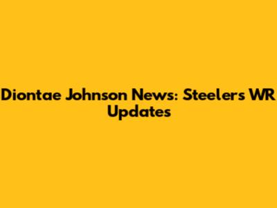 Diontae Johnson News: Steelers WR Updates