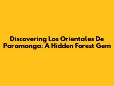 Discovering Los Orientales De Paramonga: A Hidden Forest Gem
