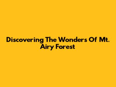 Discovering The Wonders Of Mt. Airy Forest
