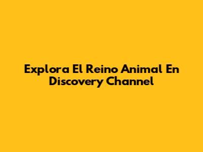 Explora El Reino Animal En Discovery Channel