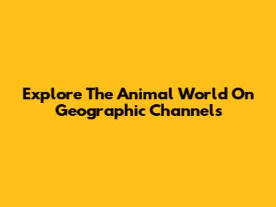 Explore The Animal World On Geographic Channels