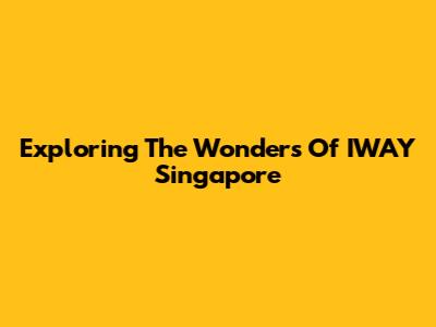 Exploring The Wonders Of IWAY Singapore