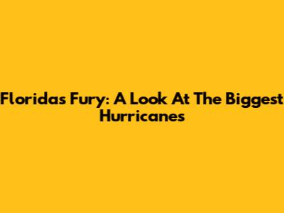 Florida's Fury: A Look At The Biggest Hurricanes