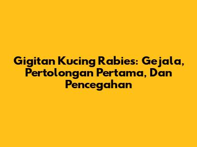 Gigitan Kucing Rabies: Gejala, Pertolongan Pertama, Dan Pencegahan