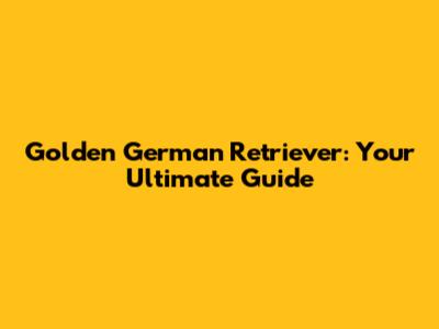 Golden German Retriever: Your Ultimate Guide