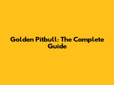 Golden Pitbull: The Complete Guide