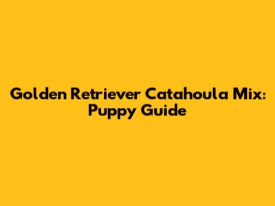 Golden Retriever Catahoula Mix: Puppy Guide