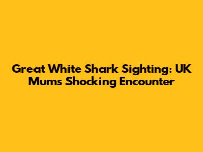 Great White Shark Sighting: UK Mum's Shocking Encounter