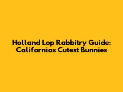 Holland Lop Rabbitry Guide: California's Cutest Bunnies