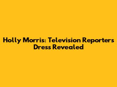 Holly Morris: Television Reporter's Dress Revealed