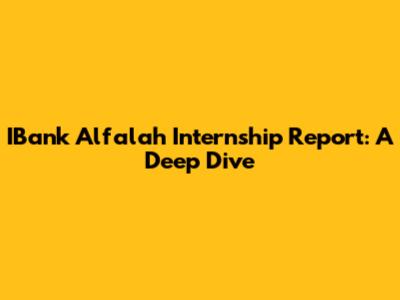 IBank Alfalah Internship Report: A Deep Dive