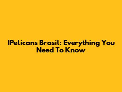 IPelicans Brasil: Everything You Need To Know