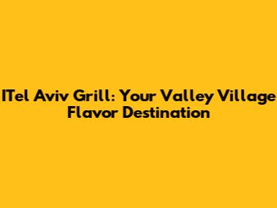 ITel Aviv Grill: Your Valley Village Flavor Destination