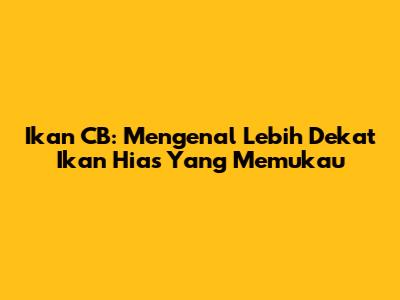 Ikan CB: Mengenal Lebih Dekat Ikan Hias Yang Memukau