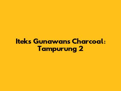 Iteks Gunawan's Charcoal: Tampurung 2