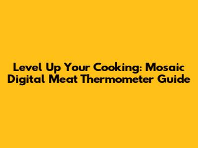 Level Up Your Cooking: Mosaic Digital Meat Thermometer Guide