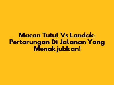 Macan Tutul Vs Landak: Pertarungan Di Jalanan Yang Menakjubkan!